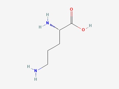 (2S)-2,5-diaminopentanoic acid (ornithine) Structure